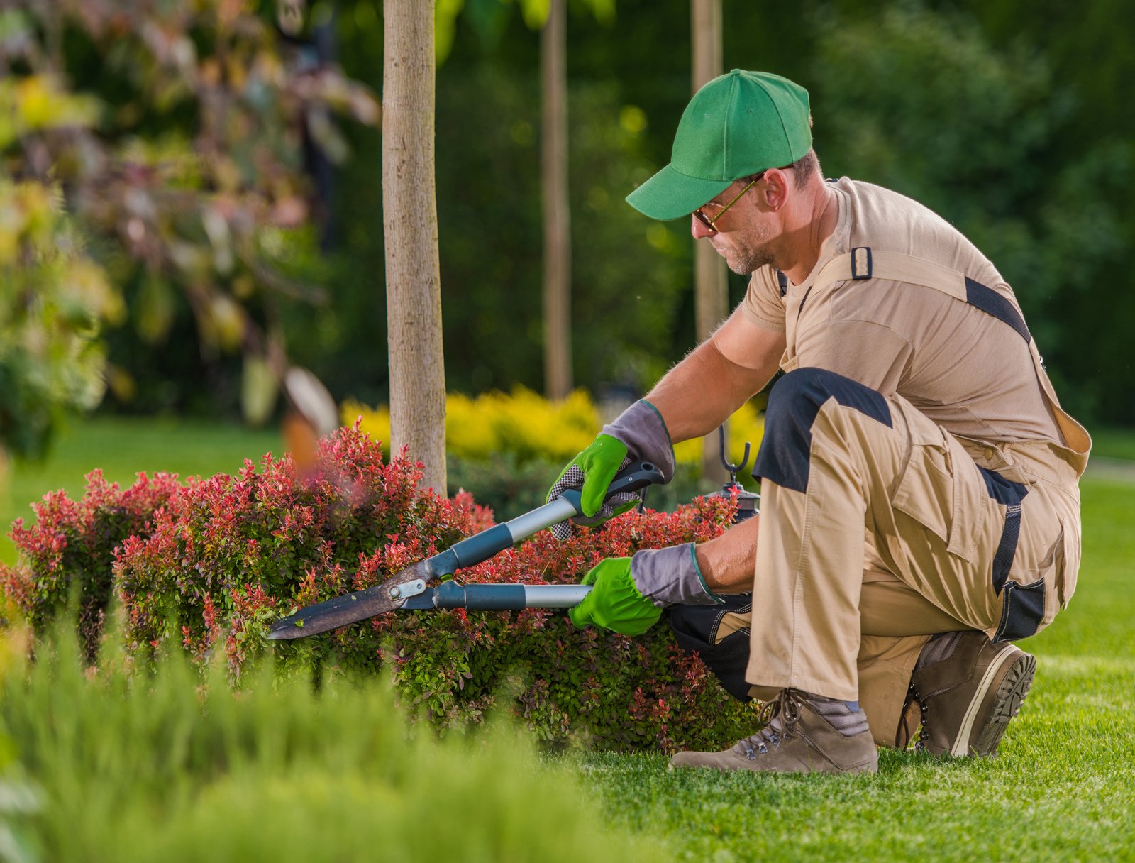 Caucasian Professional Garden Worker in His 40s Trimming Plants in His Client's Backyard Garden. Landscaping and Garden Taker Theme.