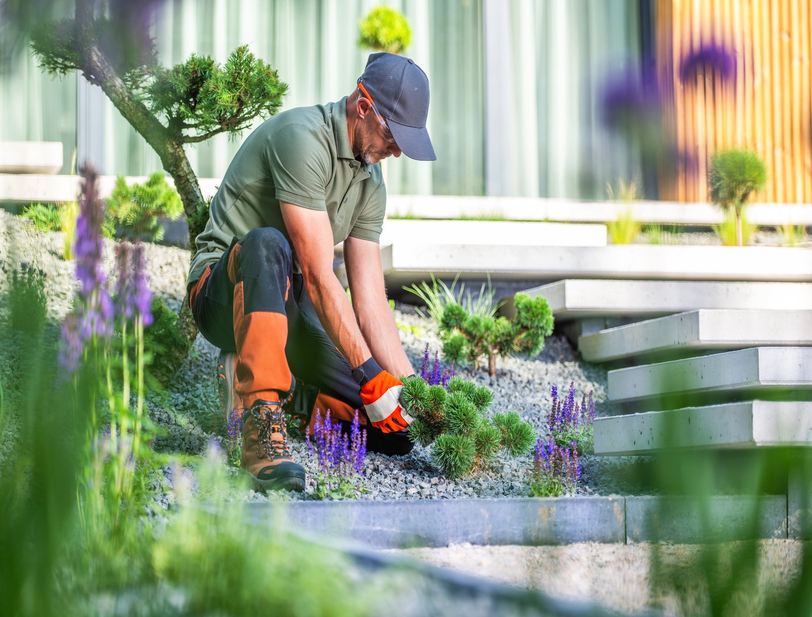 A gardener in a cap and gloves carefully tends to vibrant plants in a contemporary garden setting. The well-maintained landscape features unique stone arrangements and lush greenery. Bright sunlight enhances the colors, creating a serene atmosphere.